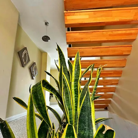 Hotel Sulty's Köyiçi